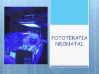 565 Fototerapia..pdf